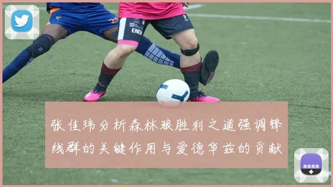 张佳玮分析森林狼胜利之道强调锋线群的关键作用与爱德华兹的贡献