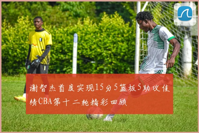 谢智杰首度实现15分5篮板5助攻佳绩CBA第十二轮精彩回顾